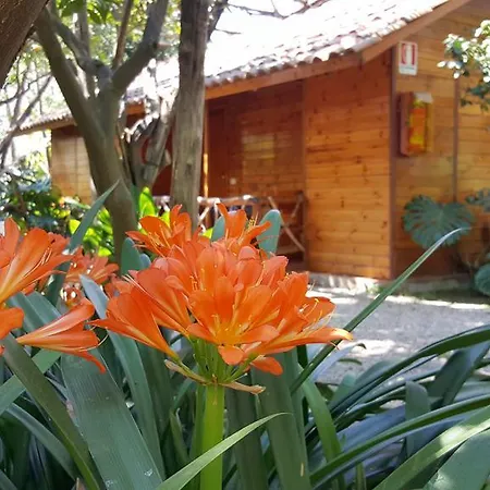 Villaggio شقة فندقية سورينتو