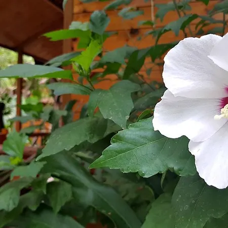 Villaggio 3* Sorrento