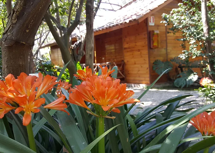 Villaggio 3* Σορέντο