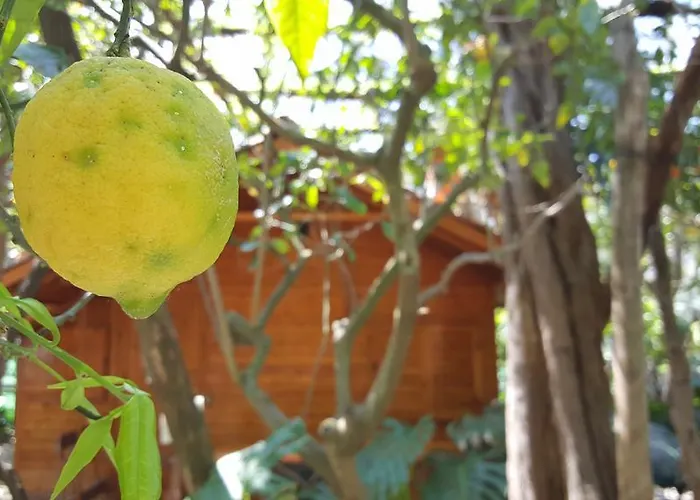 Villaggio Ξενοδοχείο με διαμερίσματα Σορέντο